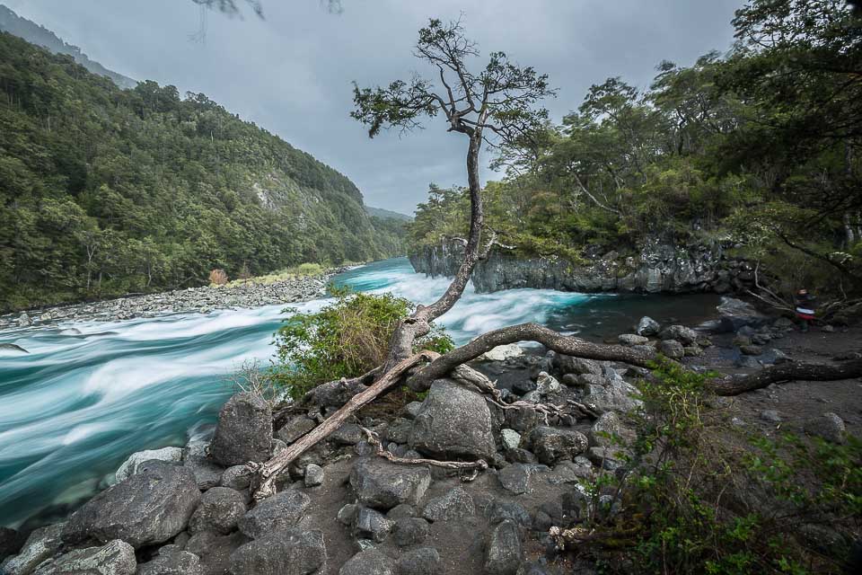 Petrohué River in the Los Lagos Region of Chile 